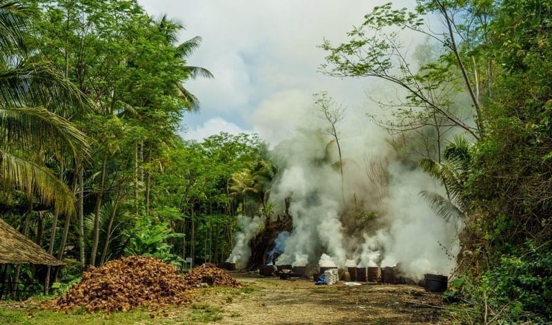 Local farmers burning loads of dried coconut shells in barrels in Indonesia