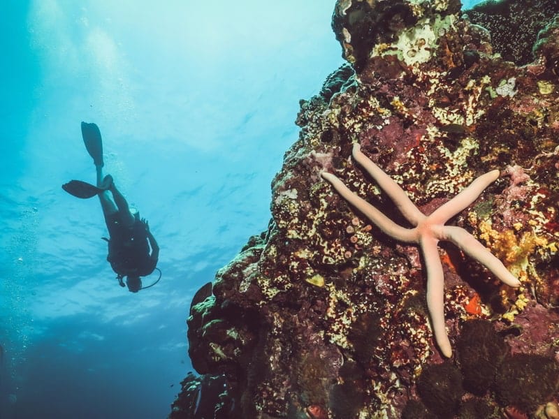 Diving around Koh Lanta in south of Thailand