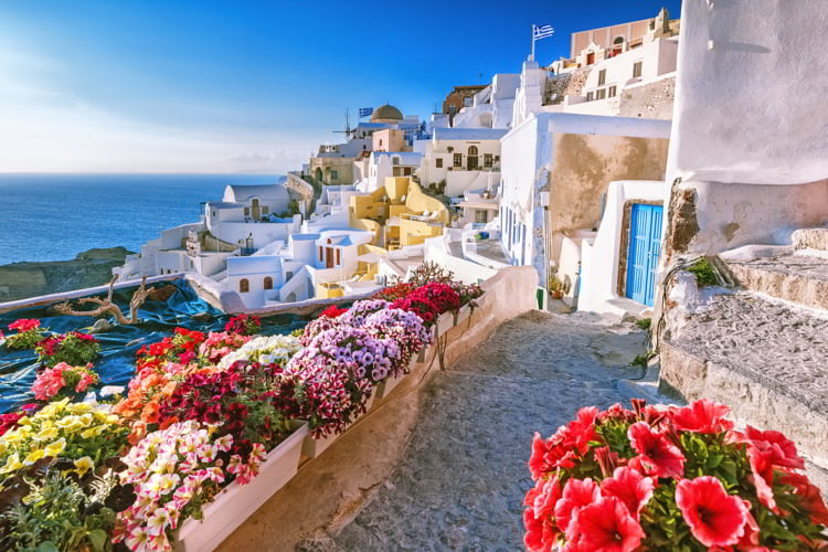 Scenic view of traditional cycladic houses on small street with flowers in foreground, Oia village, Santorini, Greece.