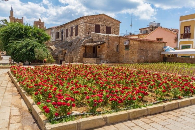 View of red flowers in a square in the walled old medieval city of Famagusta, Cyprus