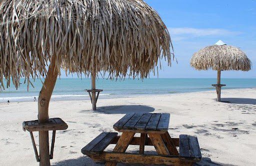 A wooden bench in Pipa's Beach, Panama