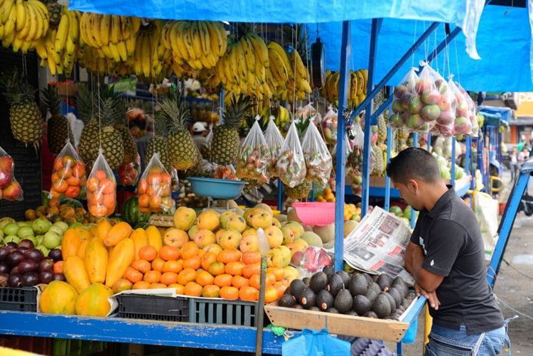 A fruit market with bananas, pineapples, papayas, avocados, tangerines, mangos and more