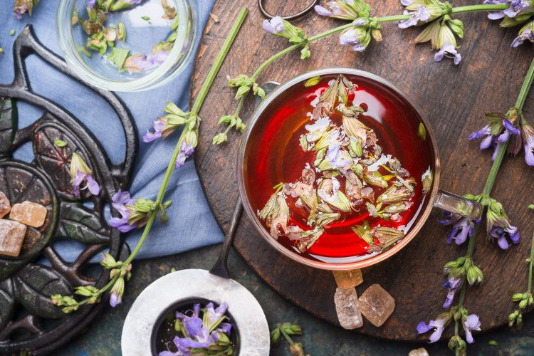 Rediscovering Belize’s Natural Medicine And Herbal Healing