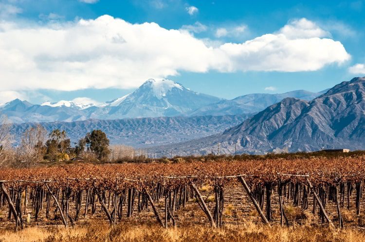 Volcano Aconcagua and Vineyard in the Andes mountain range, in the Argentine province of Mendoza