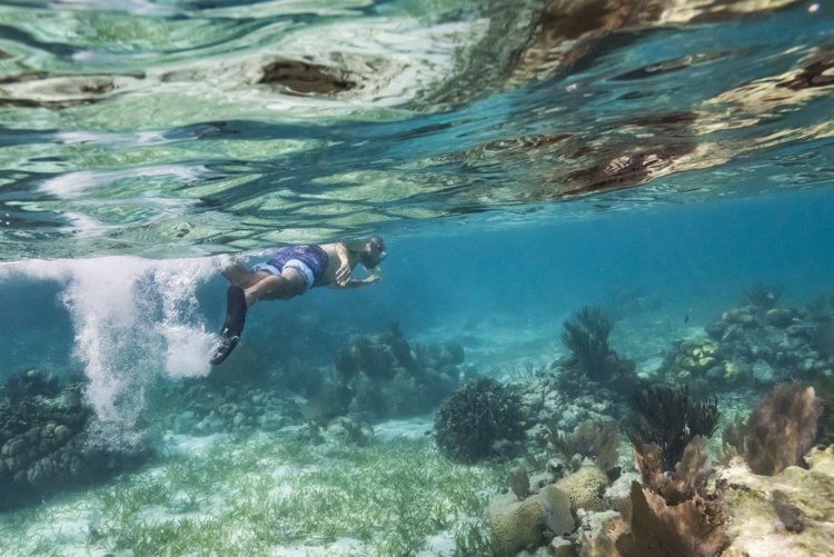 Man snorkeling, Turneffe Atoll, Belize Barrier Reef, Belize