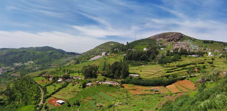 Beautiful green landscape in Ooty, India
