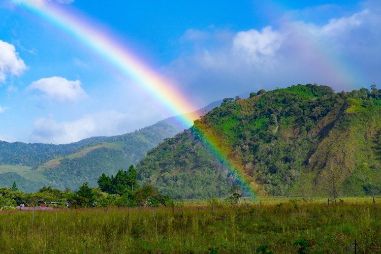 A rainbow in a landscape with trees in Tierras Altas, Chiriqui