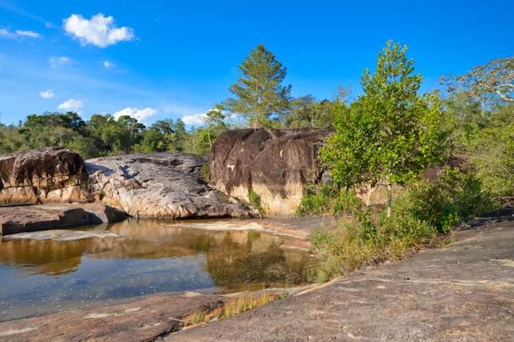 Green trees in Rio on Pools in Mountain Pine Ridge Forest Reserve in Cayo, Belize