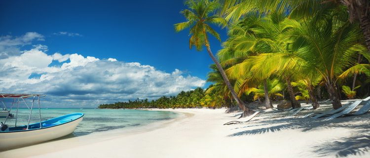 Palm trees and speed boat catamaran on a the tropical beach in Dominican Republic