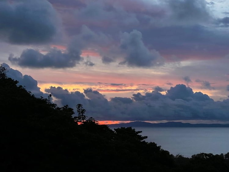 The view of the sea and trees in Los Islotes during sunset