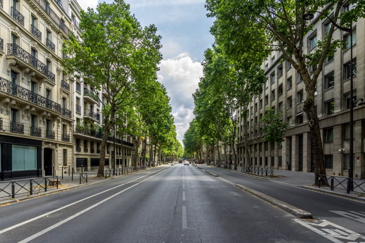 The Boulevard Saint-Germain, a major street in Paris on the Left Bank of the River Seine.