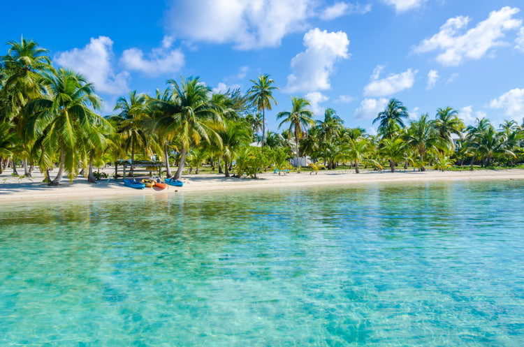 A white sand beach and coconut trees in Belize