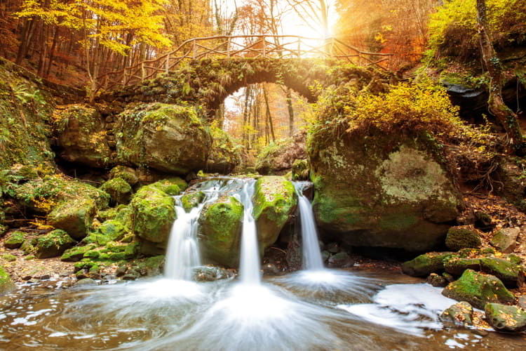 Beautiful landscape in Mullerthal, Luxembourg
