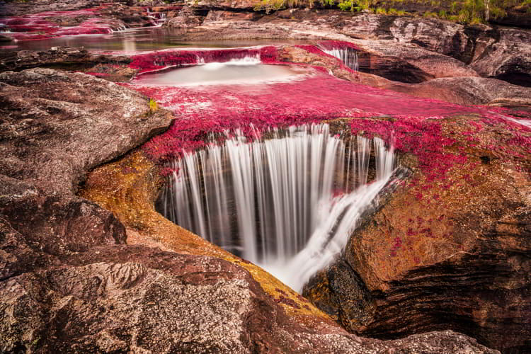 Caño Cristales, Colombia