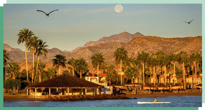 Birds flying in Loreto, Mexico with palm trees and mountains in the background