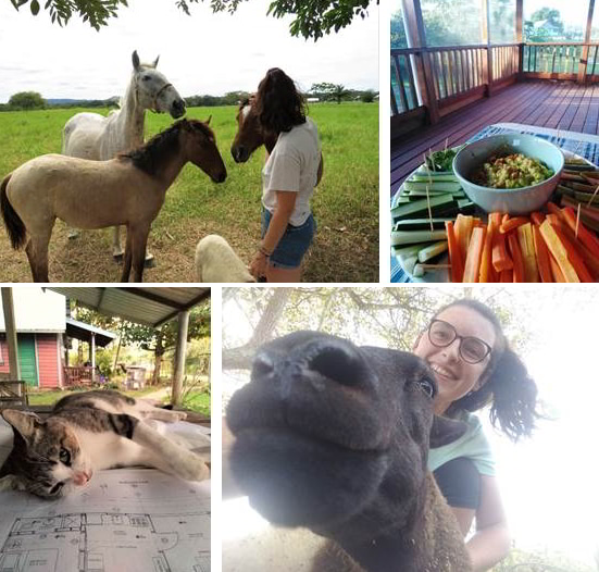 Several pictures including Louise with horses, a cat sitting on top of Carmelita Garden's blueprints, and a snack of carrots and cucumbers