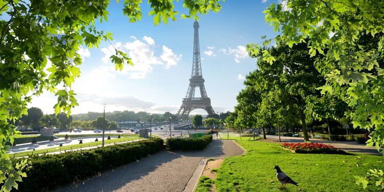 A bird in a park with green grass with the Eiffel Tower in the background in Paris, France. travel europe on a budget