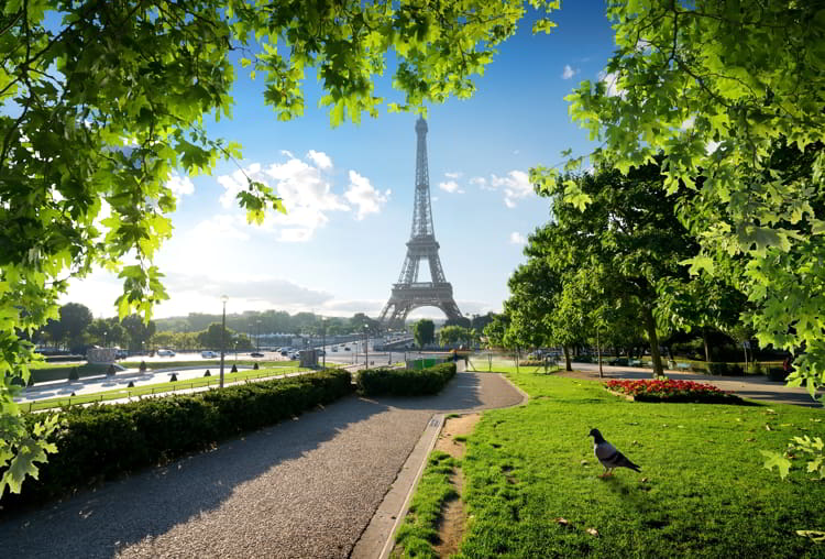 A bird in a park with green grass with the Eiffel Tower in the background in Paris, France