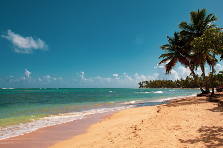 The Best Beaches In The Dominican Republic For Expats - Vimarsana News