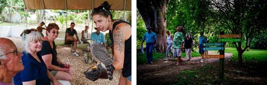 A tour in the Raptor Rescue Centre or the Botanical Gardens