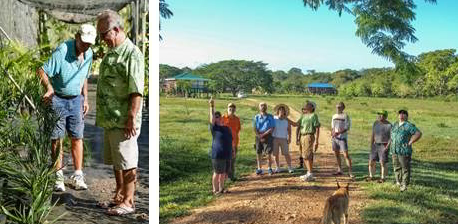 A tour of the vegetation of Belize