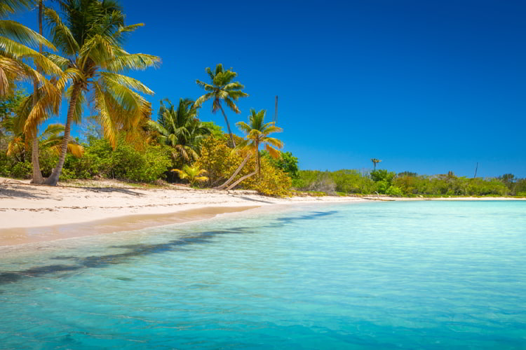 Live In The Dominican Republic And Make Your Life Better - Vimarsana News