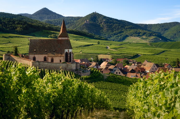 Summer sunset view of the medieval church of Saint-Jacques-le-Major in Hunawihr, small village between the vineyards of Ribeauville, Riquewihr and Colmar in Alsace, France