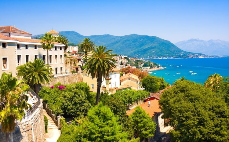 Montenegro views with palm trees and the ocean behind