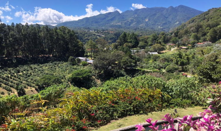 Agriculture in Boquete, Panama