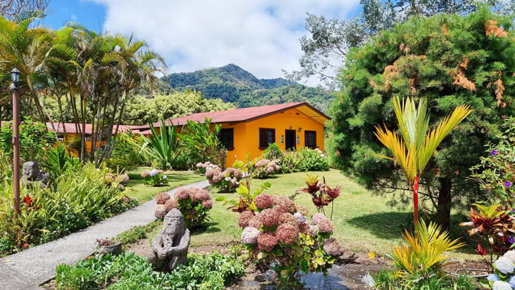 Panama, Boquete, villa with lush tropical garden in the jungle among the volcanic hills