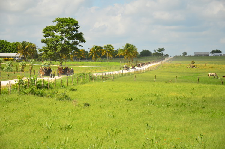 The Mennonites In Belize Are An Unexpected Jewel