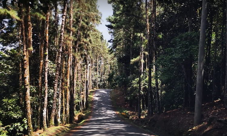 View on the way to Altos de Cerro Azul