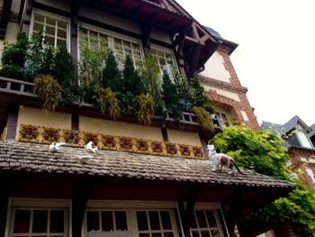 Houses with ornaments on their rooves in Deauville, France