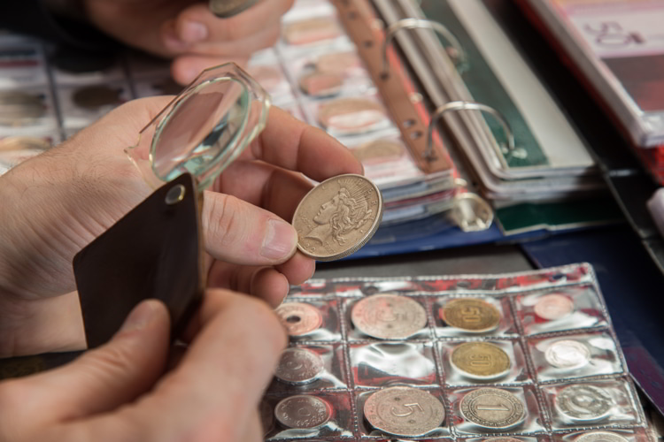 Two numismatists examine collection of coin