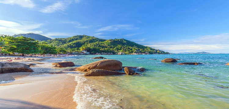 A beautiful white sand beach with clear waters