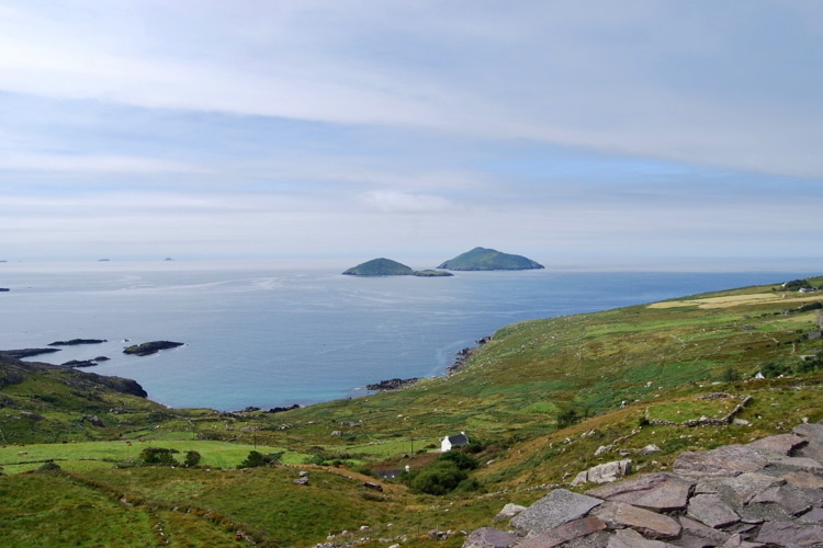 A beautiful cliff in Ireland with green grass