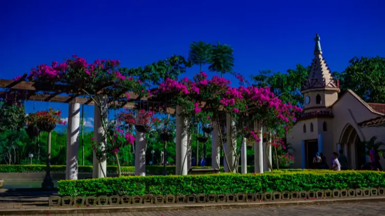 A park in Armenia, Colombia