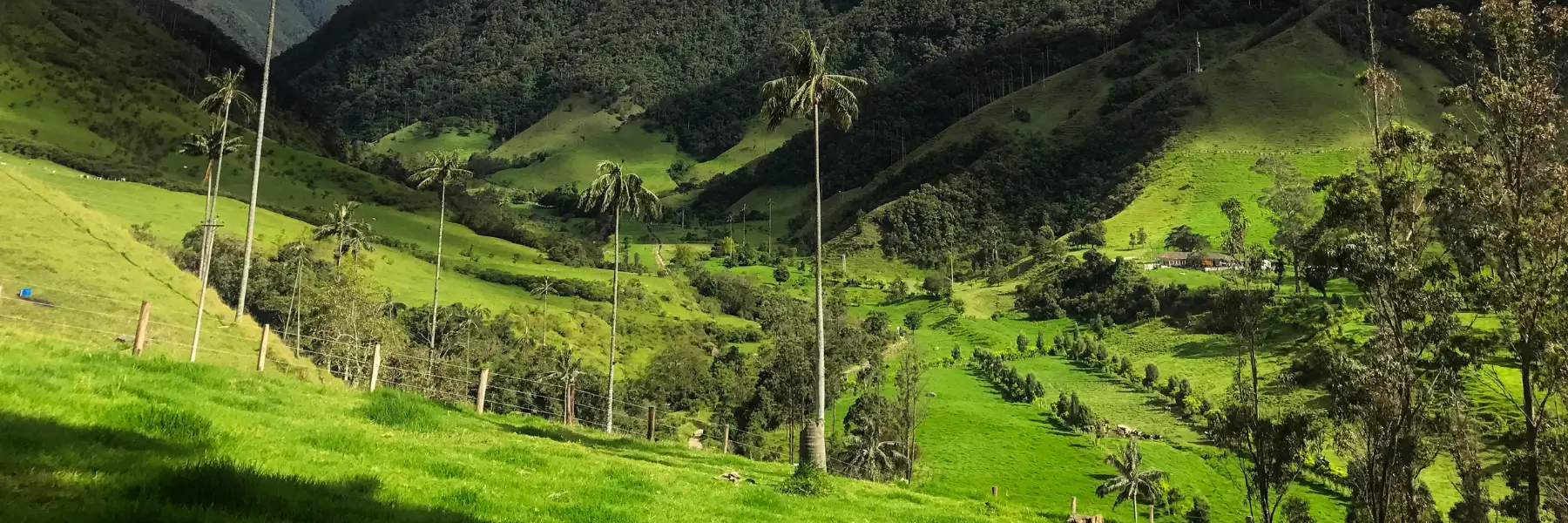 The Coolest Things to Do in Armenia, Colombia (The Capital of Quindio)