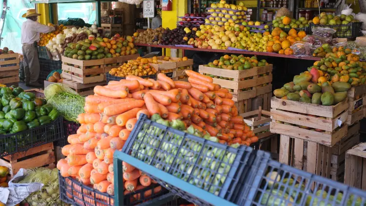 Fresh fruits and vegetables at a local outdoor farmers market in Puerto Vallarta, Mexico