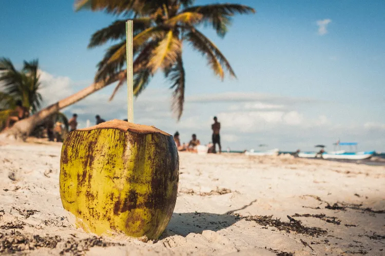 Coconut on the beach at Playa Paraiso, Tulum, Quintana Roo, Mexico.