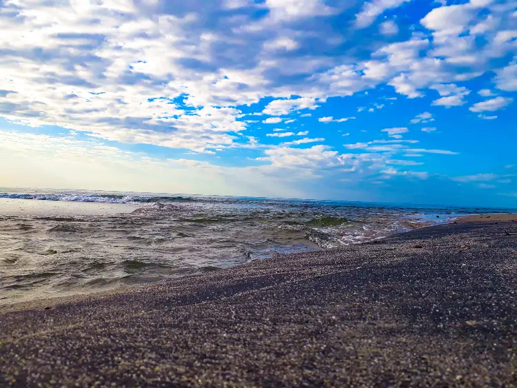 Playa El Palmar is located in Panama City Panama