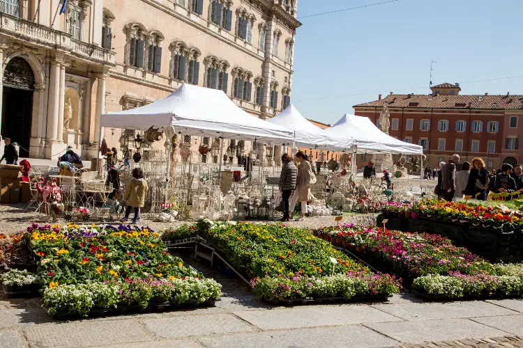 Flower market in Piazza Roma Modena Italy