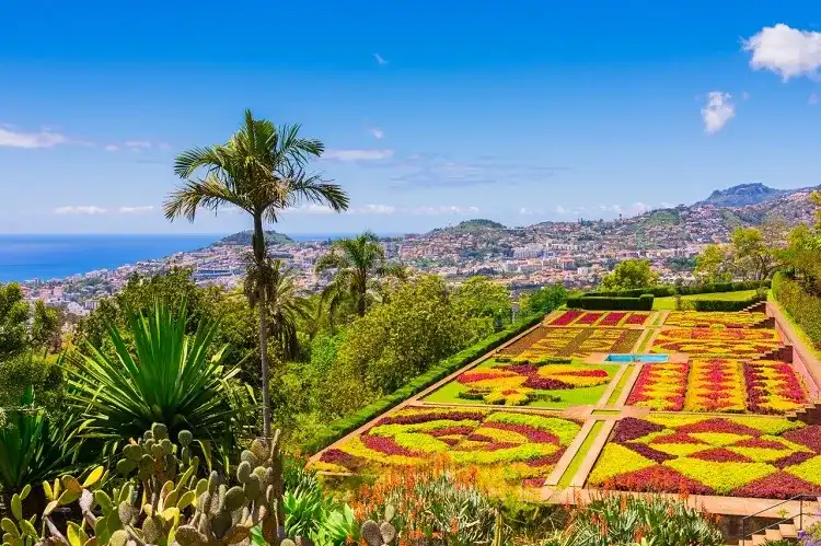Where To Travel In The Summer - Vimarsana News
