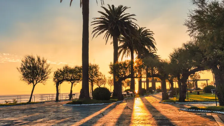 Public garden in Santander, Spain at sunrise and palm shadows 