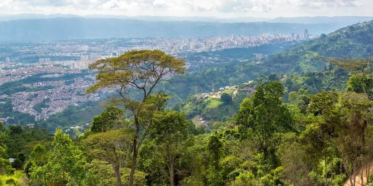 View of jungle with Bucaramanga, Colombia in the distance