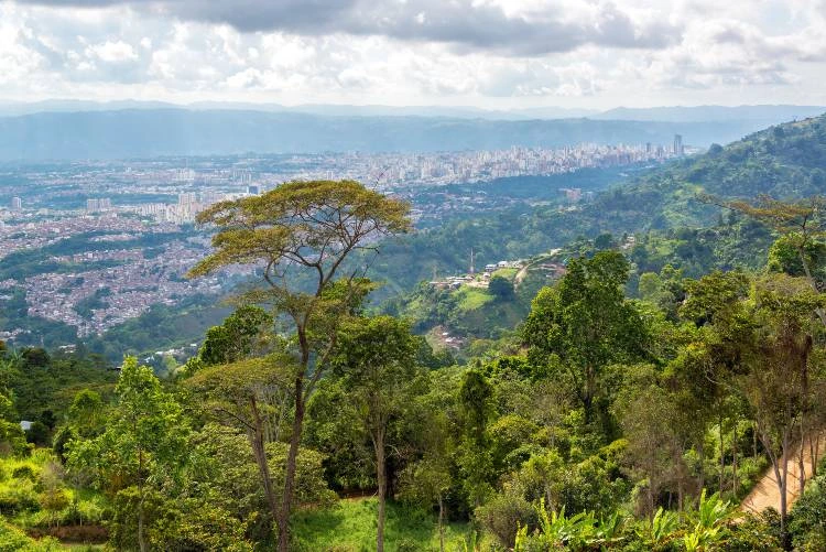 View of jungle with Bucaramanga, Colombia in the distance