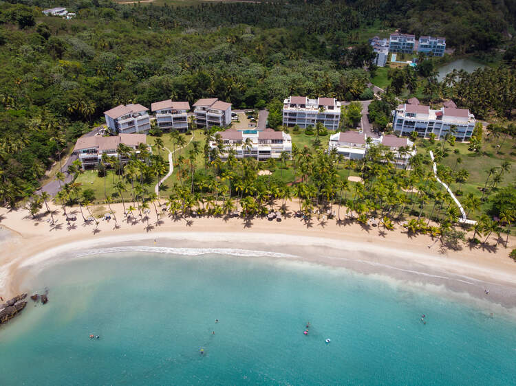 Blue water and palm trees in Las Terrenas, Samana, Dominican Republic.