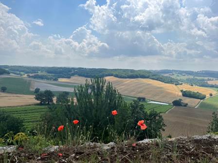 Wherever you look in Gascony, you’ll see endless crop fields, grape vines, and cattle pasture…