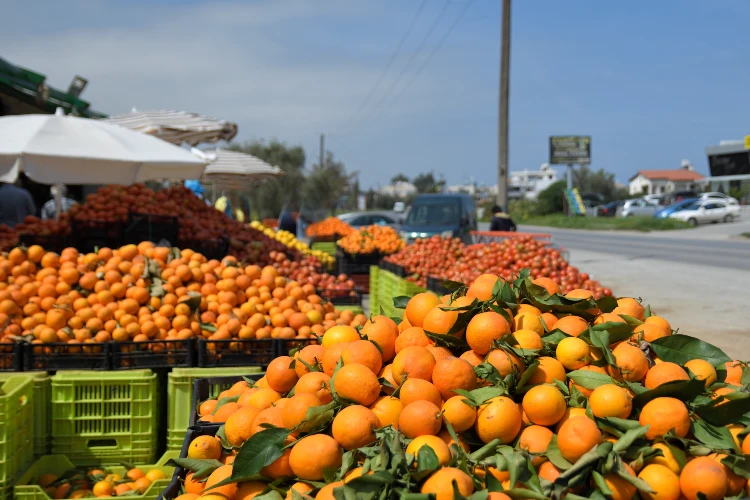 Fruit market in the North of Cyprus with new harvested Lemons