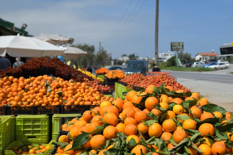 Fruit market in the North of Cyprus with new harvested lemons. famagusta cyprus